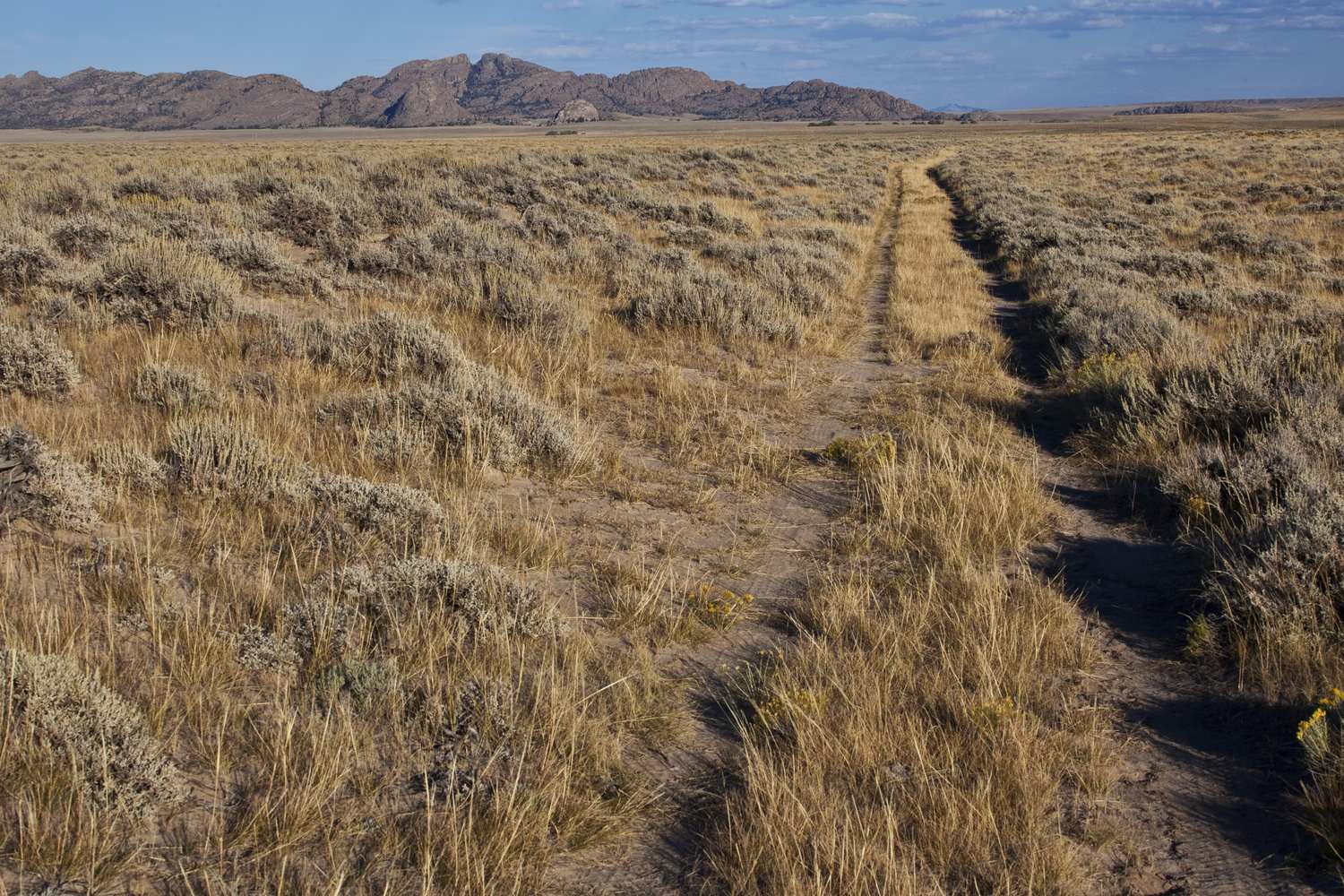 Twin wagon ruts of the Oregon Trail running through dry grass and sagebrush toward a rocky ridge.